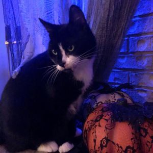 Meet your Posher, Jane